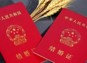 2024年国内结婚登记量降至610.6万对