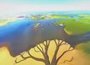 晚霞熔金时，鄱阳湖“大地之树”如何书写自然的史诗？