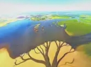 晚霞熔金时，鄱阳湖“大地之树”如何书写自然的史诗？